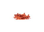 Dunked 12 Chicken Tenders - Image 4