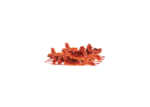 Dunked 12 Chicken Tenders - Image 5